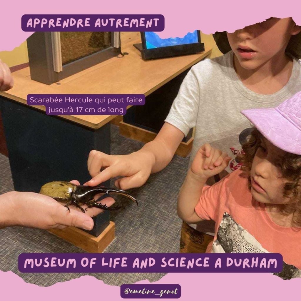Apprendre autrement : Observation au microscope au Muséum of life and Science à Durham
