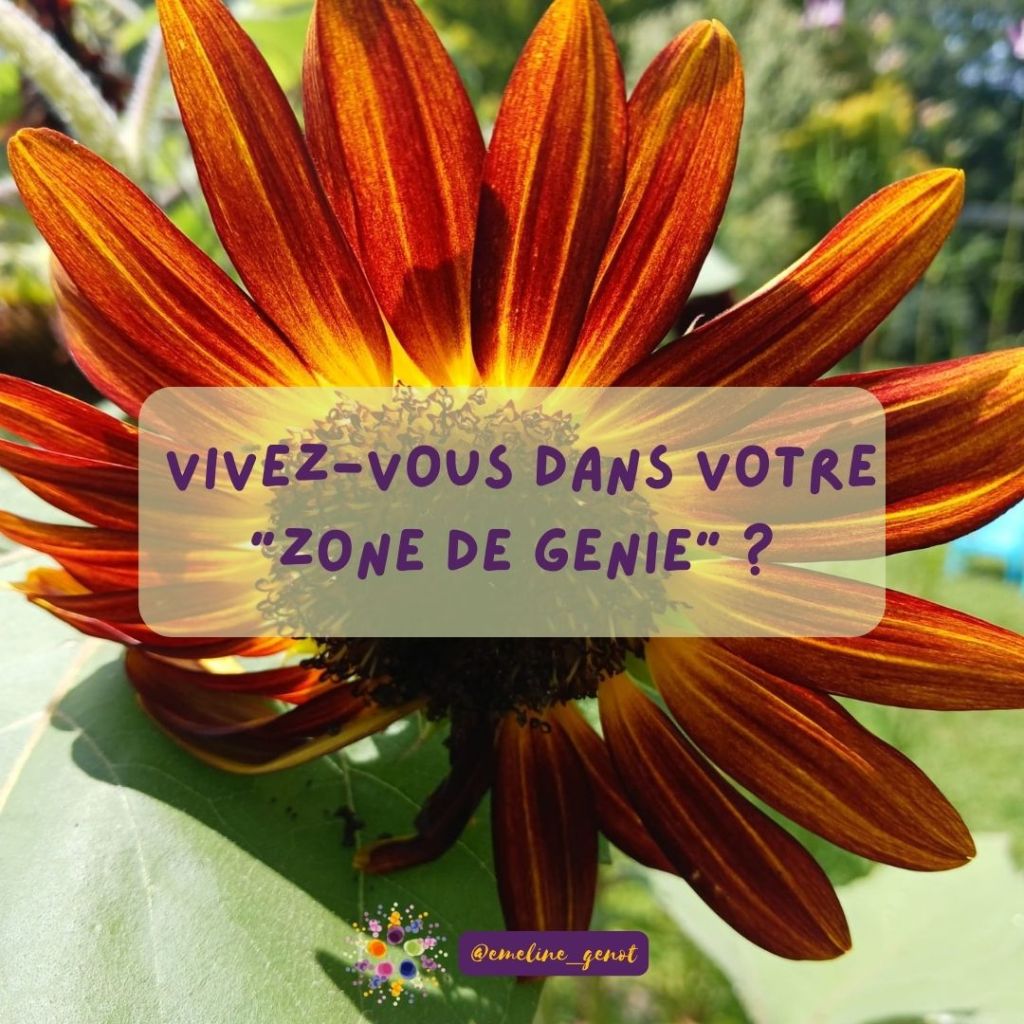 Vivez-vous dans votre zone de génie ?