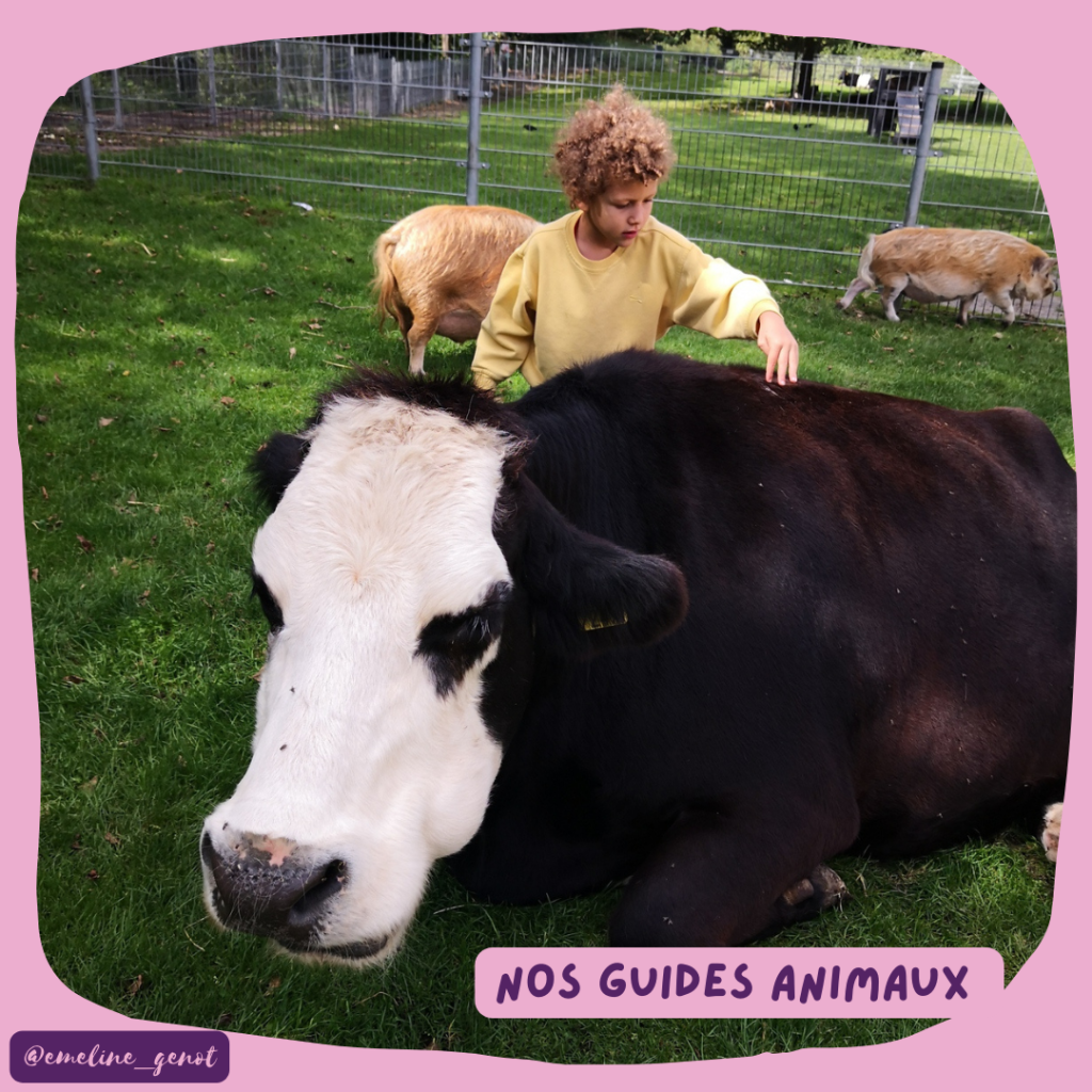 Nos Guides Animaux
