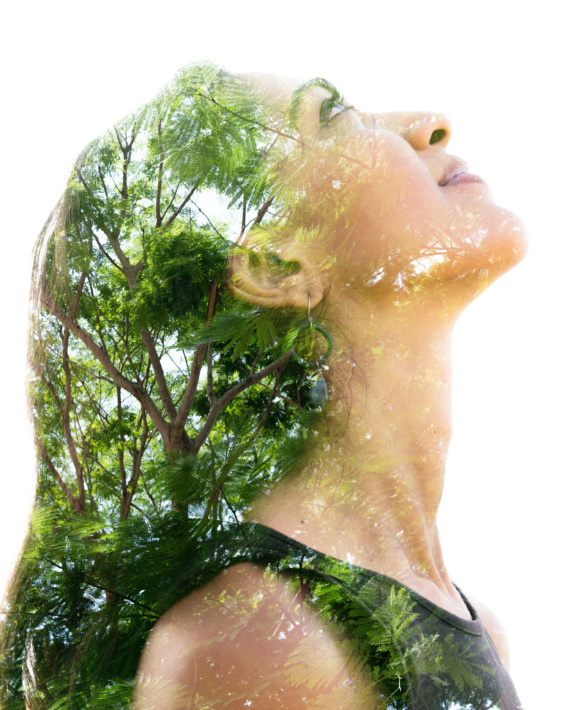 créativité nature