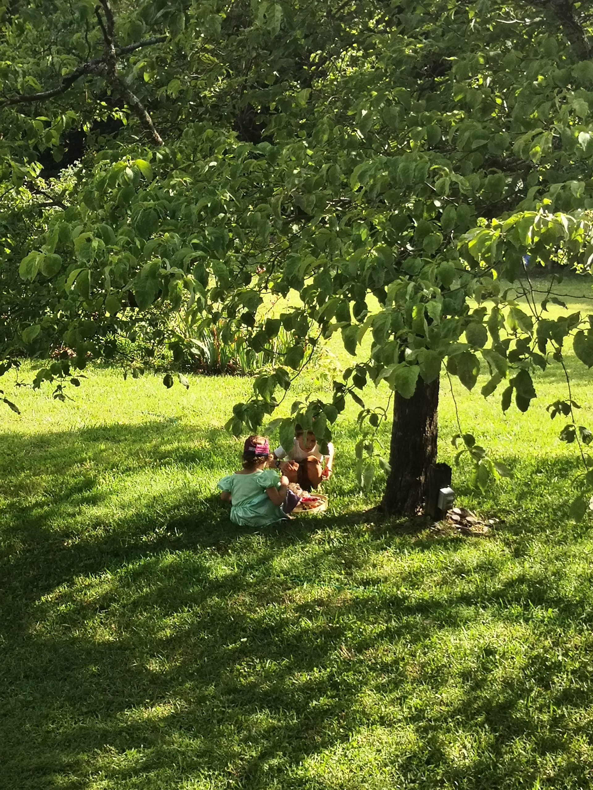 A la source de notre créativité : la Nature