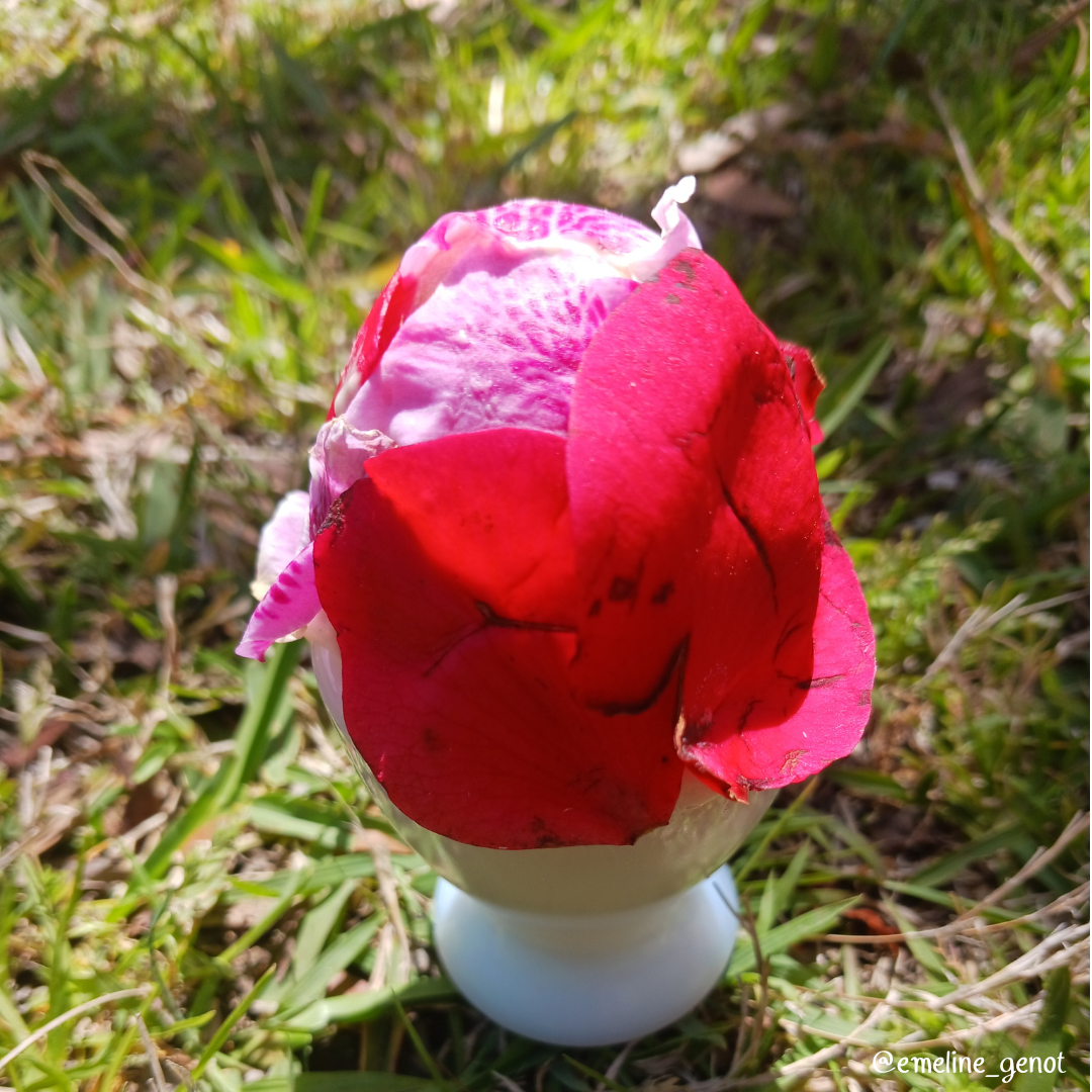 Oeufs de Pâques en robe fleurie