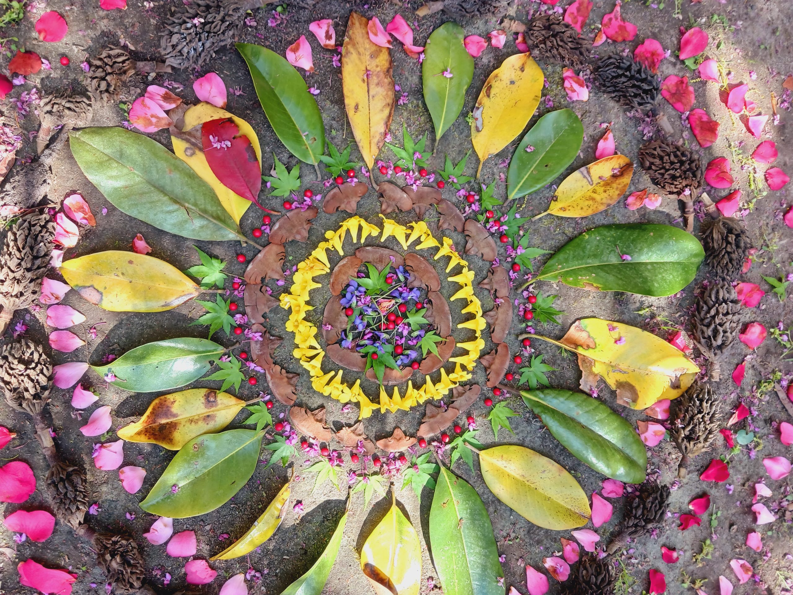 Mandalas nature
