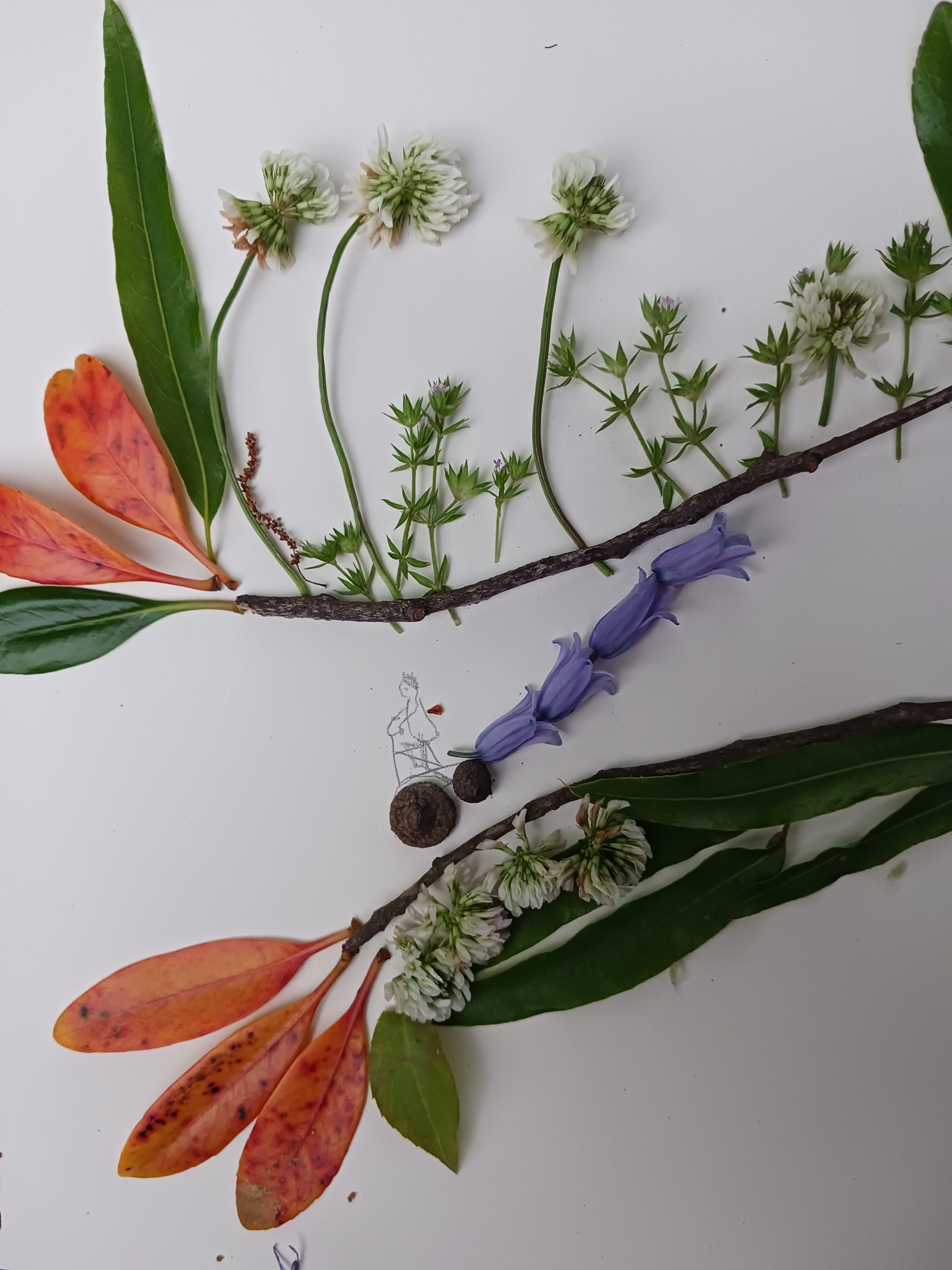 Doodle nature – créativité ludique